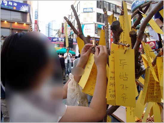 한 여학생이 자신의 소망이 담긴 글귀를 인권나무에 붙여주고 있다. 